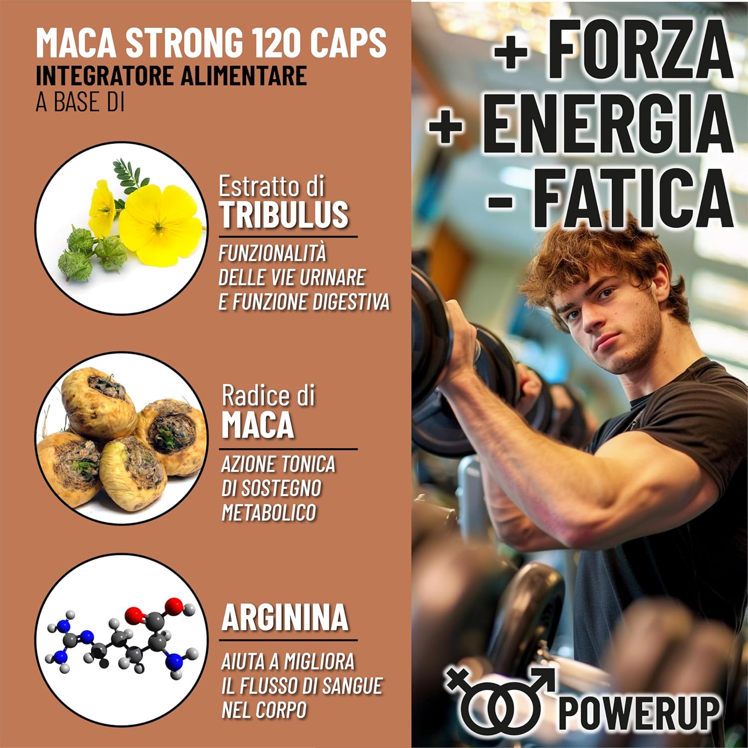 Maca - Mekià - immagine 6